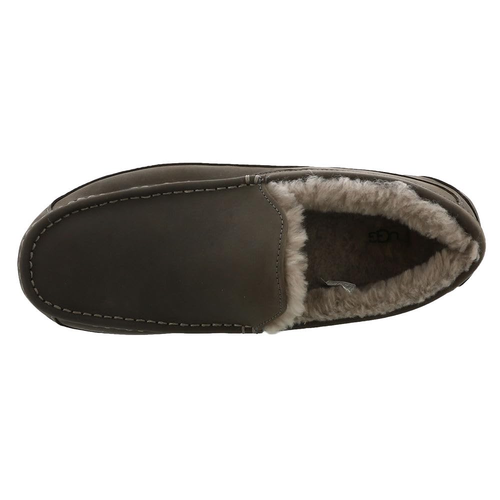 Foto 3 pulgar | Pantuflas Ugg Ascot Thunder Cloud para Hombre - Venta Internacional