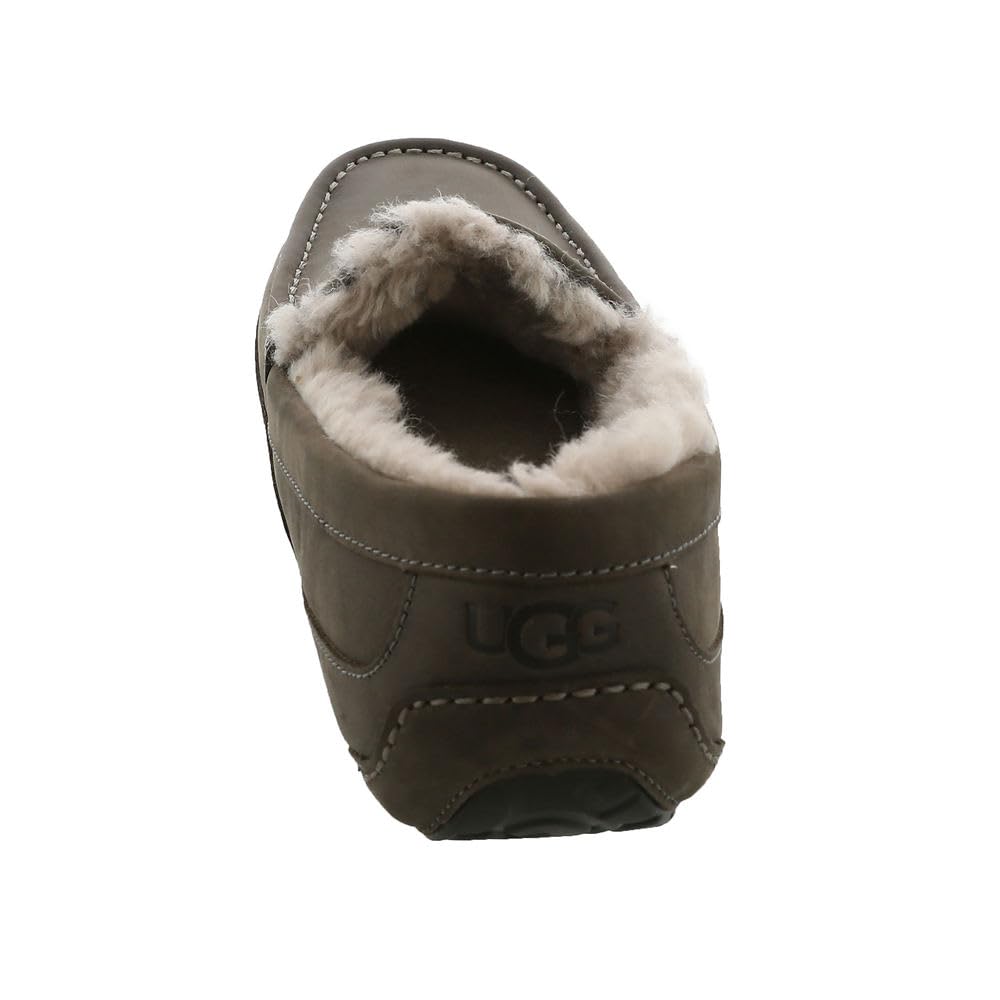 Foto 7 pulgar | Pantuflas Ugg Ascot Thunder Cloud para Hombre - Venta Internacional