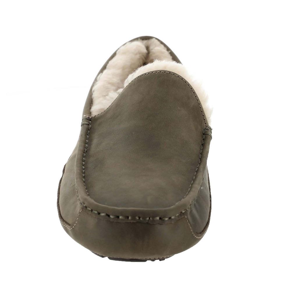 Foto 6 pulgar | Pantuflas UGG Ascot Antílope de Gamuza para Hombre - Venta Internacional