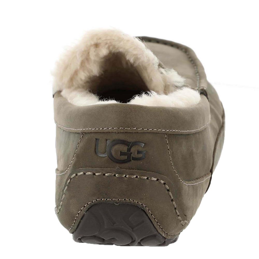 Foto 7 pulgar | Pantuflas UGG Ascot Antílope de Gamuza para Hombre - Venta Internacional