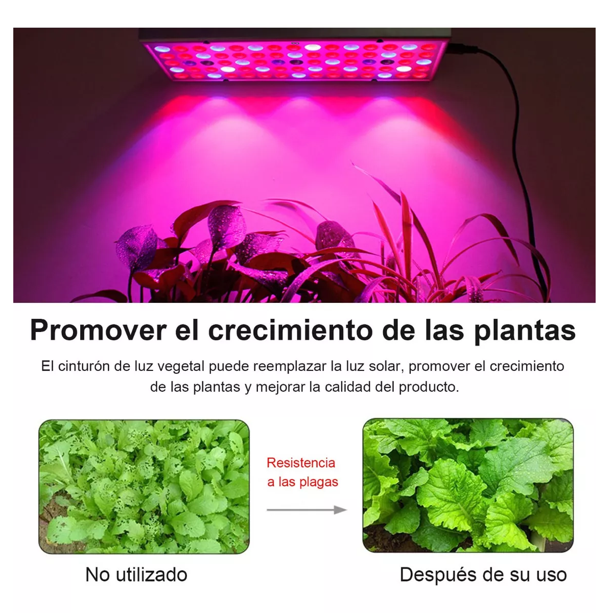 Foto 3 pulgar | Luz Led De Cultivo Luces Para Plantas De Interior Espectro Eo Safe Imports Esi-16369-1 Multicolor