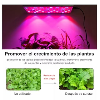 Foto 2 | Luz Led De Cultivo Luces Para Plantas De Interior Espectro Eo Safe Imports Esi-16369-1 Multicolor
