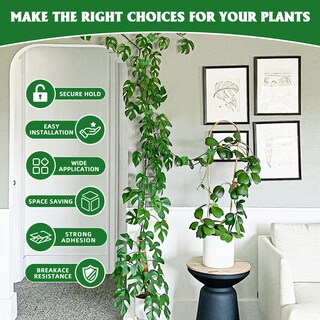 Foto 4 | Pinzas De Pared Ewpjdk Para Plantas Trepadoras, 180 Unidades (verdes) - Venta Internacional.