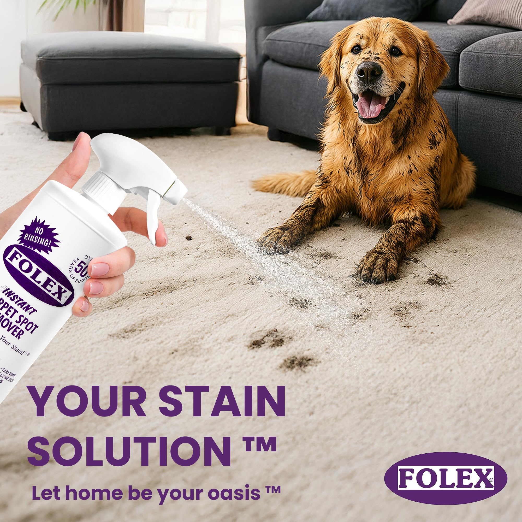 Foto 5 pulgar | Quitamanchas Para Alfombras Folex Instant  946 Ml  Paquete De 2 - Venta Internacional.