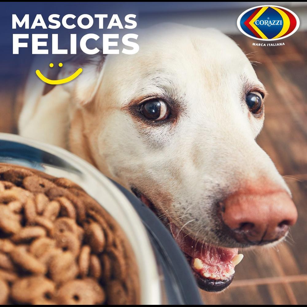 Foto 4 | Fibra Esponja Pet Bowl Corazzi Edición Mascotas 12 Paquetes