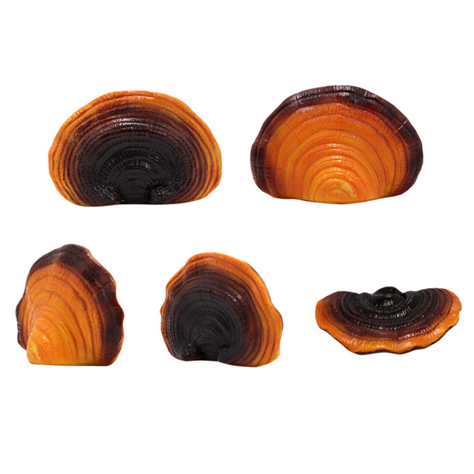 Estantes Flotantes, Adhesivos De Resina Para Pared, Con Forma De Cabaña, 5 Unidades - Venta Internacional.