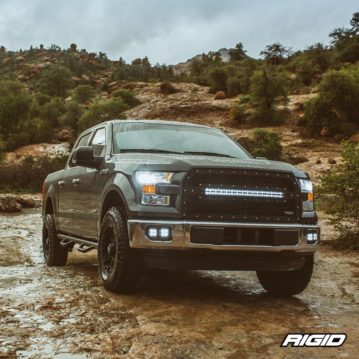 Foto 5 | Interruptor Basculante Iluminado Con Indicador Led Rigid Industries - Venta Internacional.