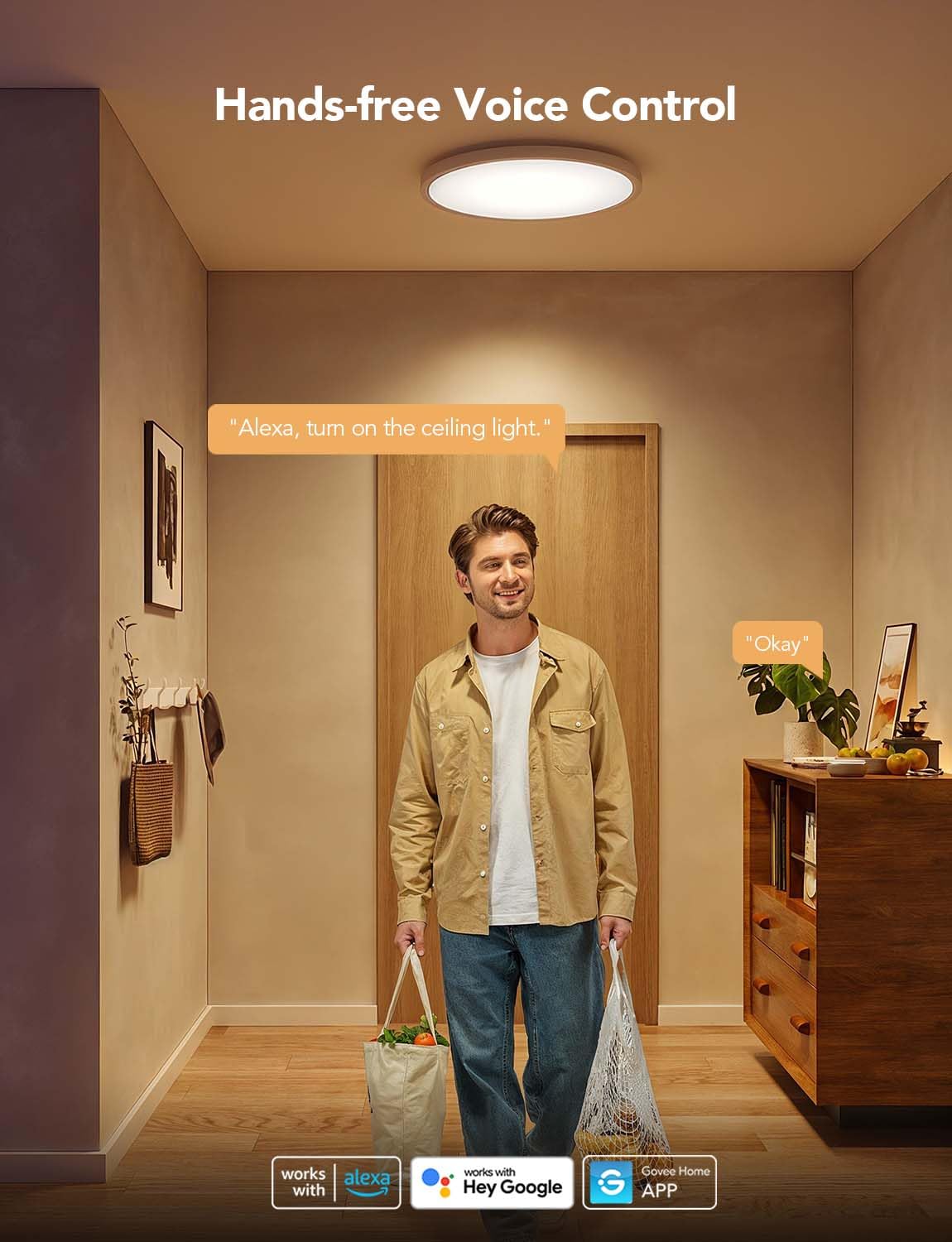 Foto 4 | Lámpara De Techo Govee Smart Rgbic Led 2400 Lm, 12 Pulgadas, Paquete De 2 - Venta Internacional.