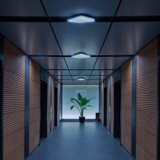 Foto 5 | Mil Luces
