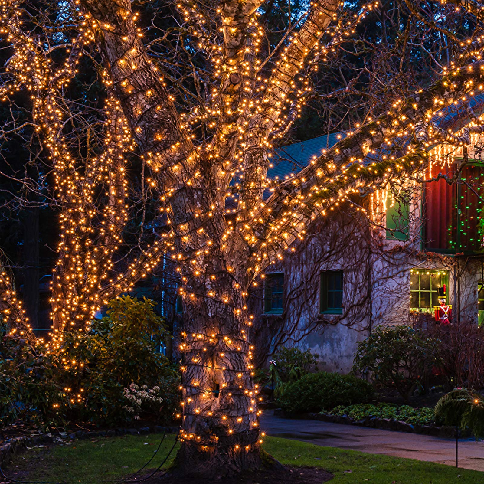 Foto 4 | Luces Navideñas Hishiny, 100 Unidades, Pequeñas, Transparentes, 6,4 M - Venta Internacional.