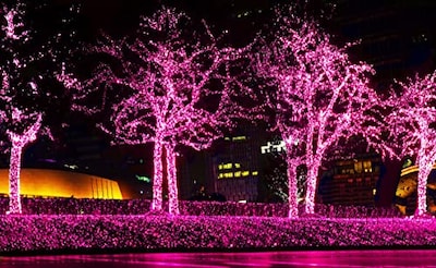 Foto 5 | Luces Navideñas 612 Vermont 50, Color Rosa, 2,7 M De Longitud Iluminada - Venta Internacional.
