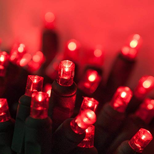 Foto 2 pulgar | Luces Navideñas Wintergreen Lighting 50 Led De 5 Mm, Color Rojo - Venta Internacional.