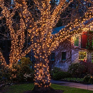 Foto 5 | Luces Navideñas Hishiny, 100 Unidades, Pequeñas, Transparentes, 32 Pies (10 M) - Venta Internacional.