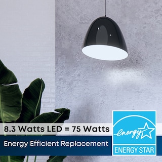 Foto 6 | Bombillas Led Feit Electric Par30 L 8 3 W 750 Lm 5000 K Regulables Paquete De 2 - Venta Internacional.