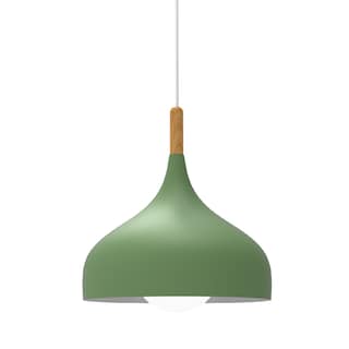 Foto 1 | Lámpara Colgante F Verde