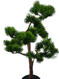 Foto 1 | Lampara De Noche Arbol Bonsai