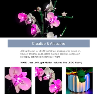 Foto 3 | Kit De Iluminación Brickbling Para Lego 10311 Orchid Con Luces Led - Venta Internacional.