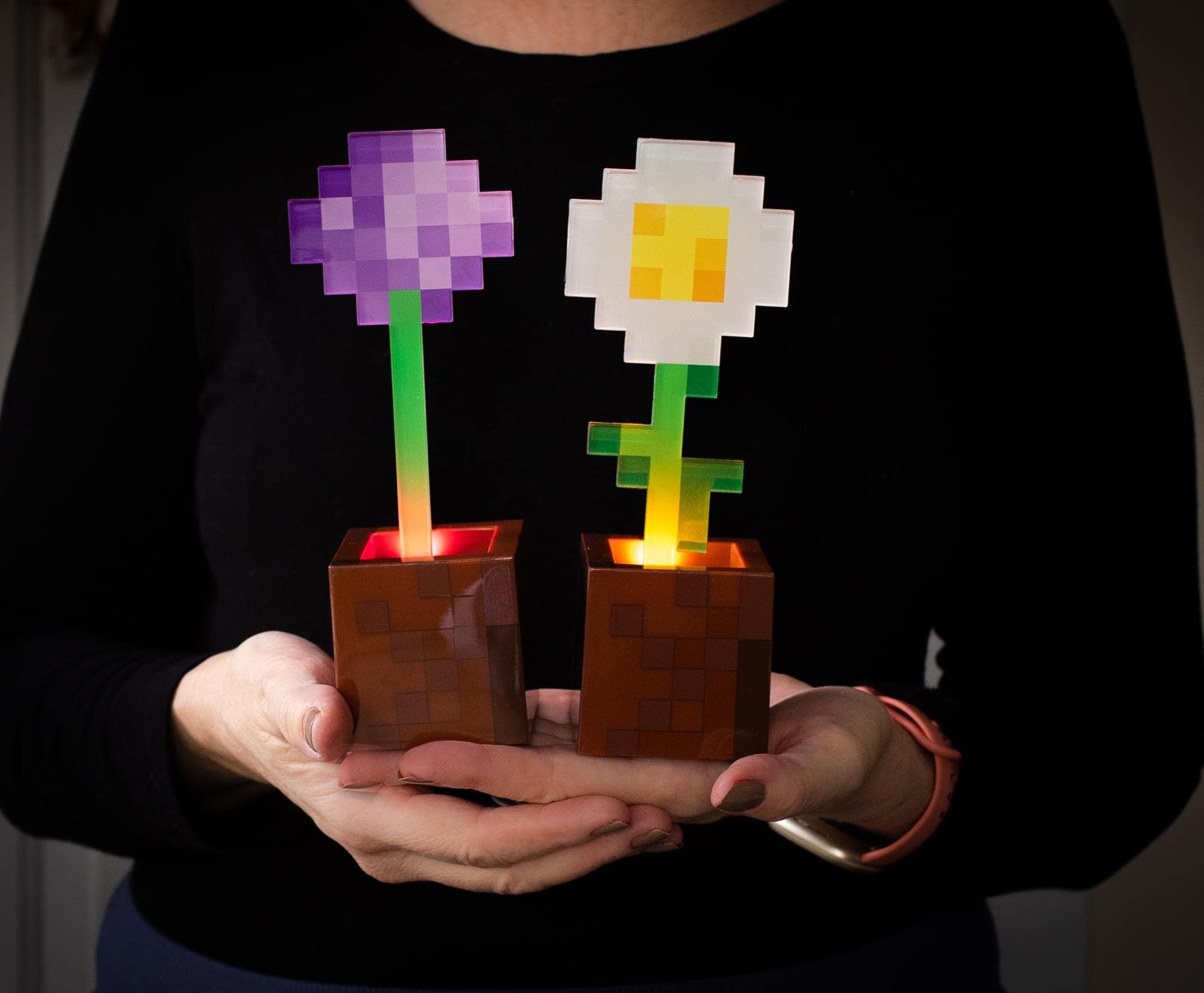 Foto 4 pulgar | Maceta Mood Lights Para Minecraft, Diseño De Margaritas Y Allium, X2 - Venta Internacional.