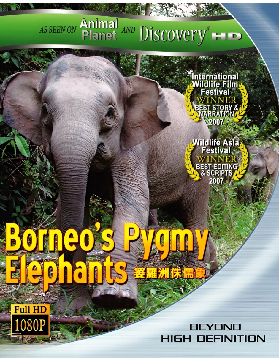 Foto 1 | Documental Animal Planet Pigmeos De Borneo en Blu-ray