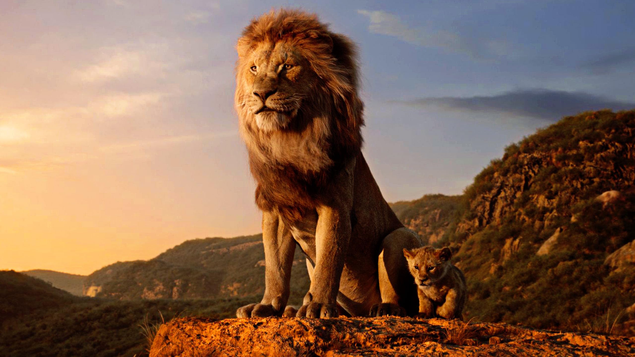 Foto 5 pulgar | Dvd Disney El Rey León (1994) /el Rey León (2019) /muf - Venta Internacional.