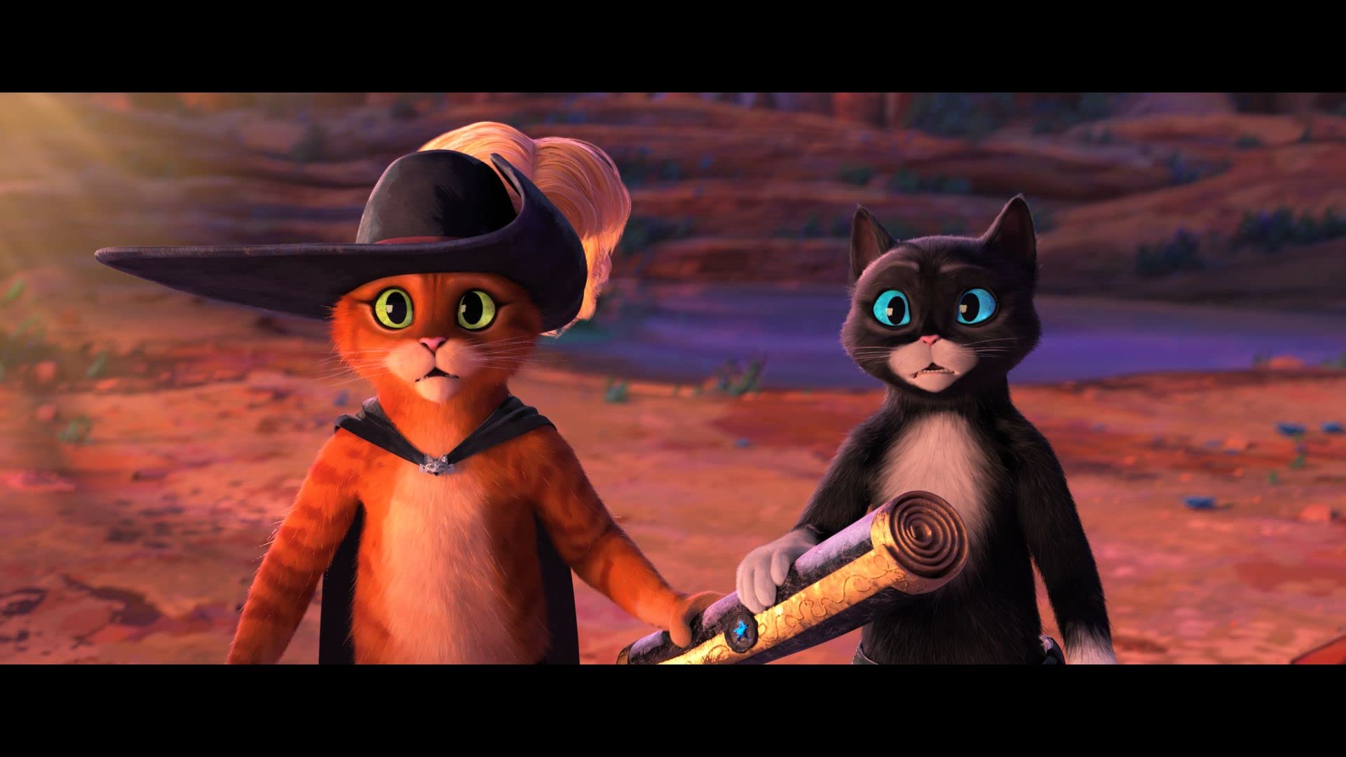 Foto 4 pulgar | El Gato con Botas: El Último Deseo Edición de Coleccionista 4K UHD - Venta Internacional
