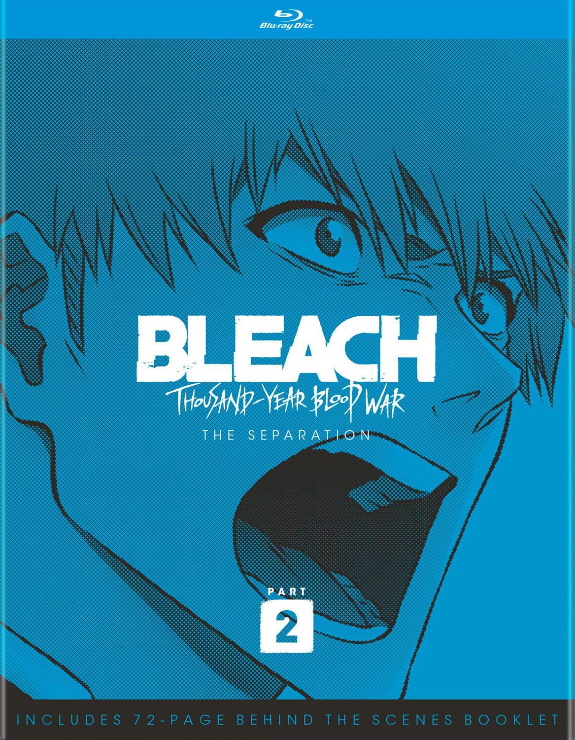 Foto 2 pulgar | Edición Limitada De Blu-ray Bleach: La Guerra De Sangre De Los Mil Años, Parte 2 - Venta Internacional.