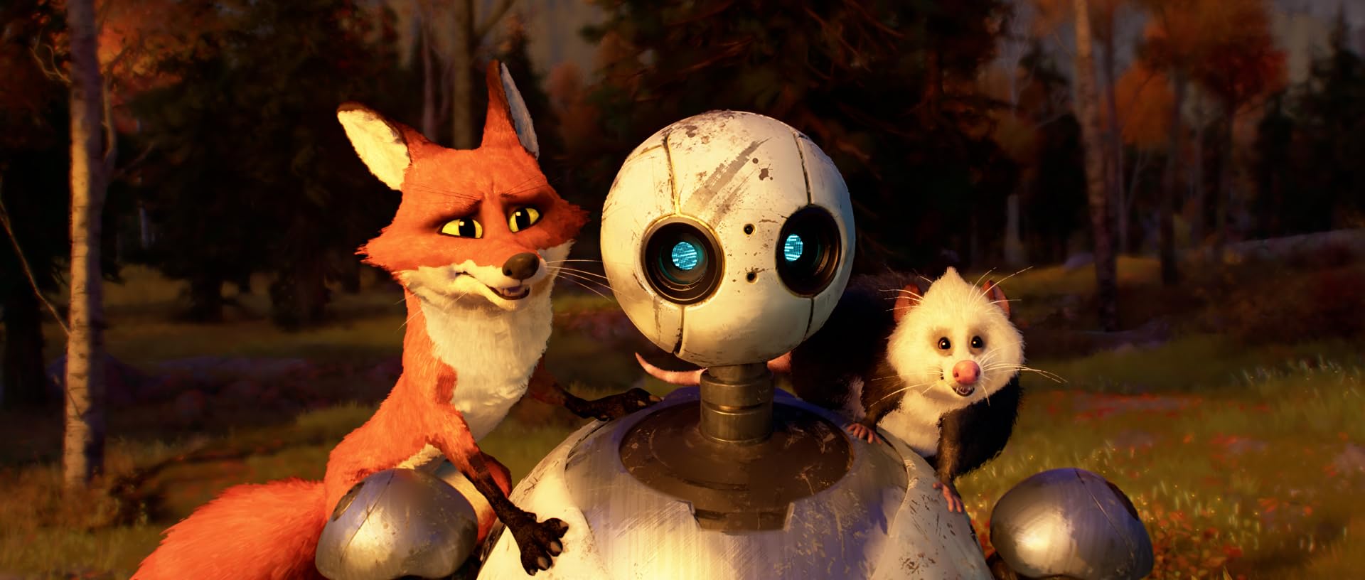 Foto 4 pulgar | Blu-ray Edición De Coleccionista De The Wild Robot + Digital Universal - Venta Internacional.