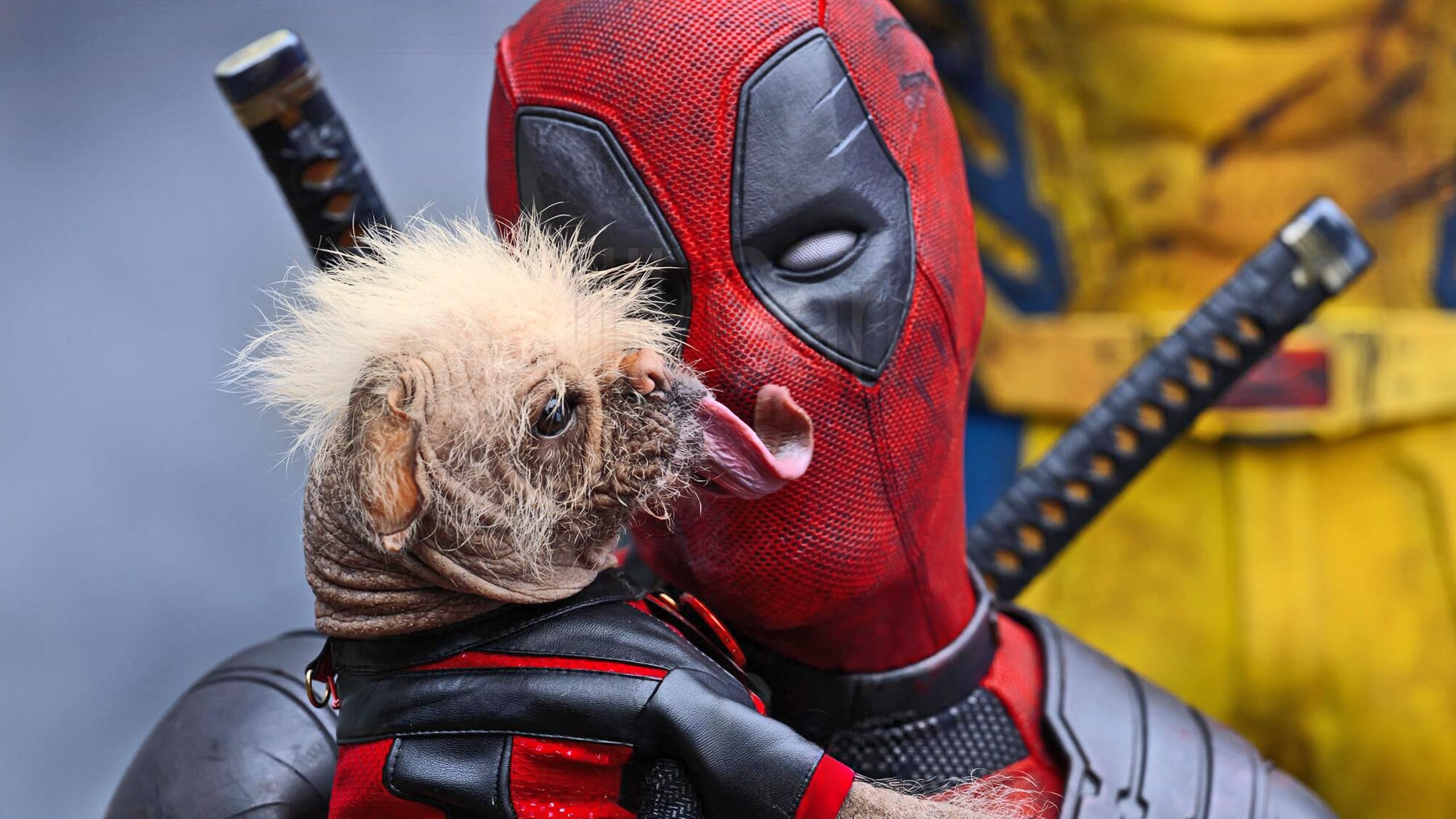 Foto 4 | Dvd Marvel Studios Deadpool Y Wolverine - Venta Internacional.