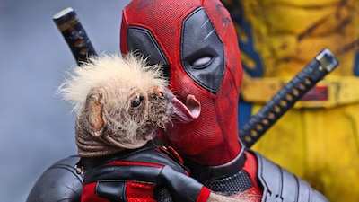 Foto 4 | Dvd Marvel Studios Deadpool Y Wolverine - Venta Internacional.