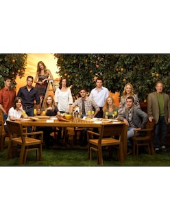 Foto 3 | DVD Serie Brothers and Sisters Temporada 4