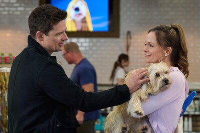 Foto 4 | Colección De 3 Películas De Dvd Hallmark Everything Puppies /guiding Emily/the More Love Grows - Venta Internacional.