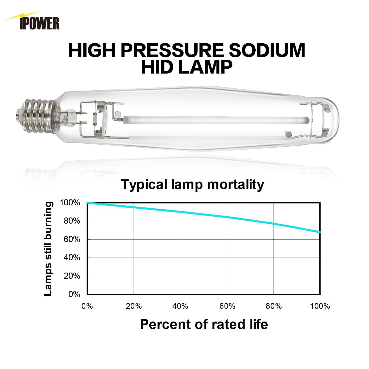 Foto 5 | Bombilla De Cultivo Ipower Hps De 1000 W Con Alto Par Para Plantas De 4 Pa - Venta Internacional.