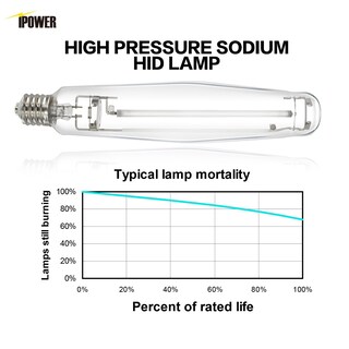 Foto 5 | Bombilla De Cultivo Ipower Hps De 1000 W Con Alto Par Para Plantas De 4 Pa - Venta Internacional.