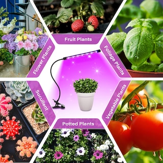 Foto 7 | Luz Led De Cultivo Ipower De Espectro Completo Para Plantas De Interior - Venta Internacional.