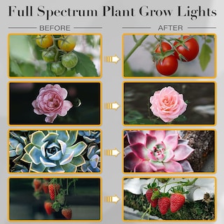 Foto 7 | Tiras De Luz Led Para Cultivo Ipower Full Spectrum, 3 Tubos, 1 Paquete - Venta Internacional.