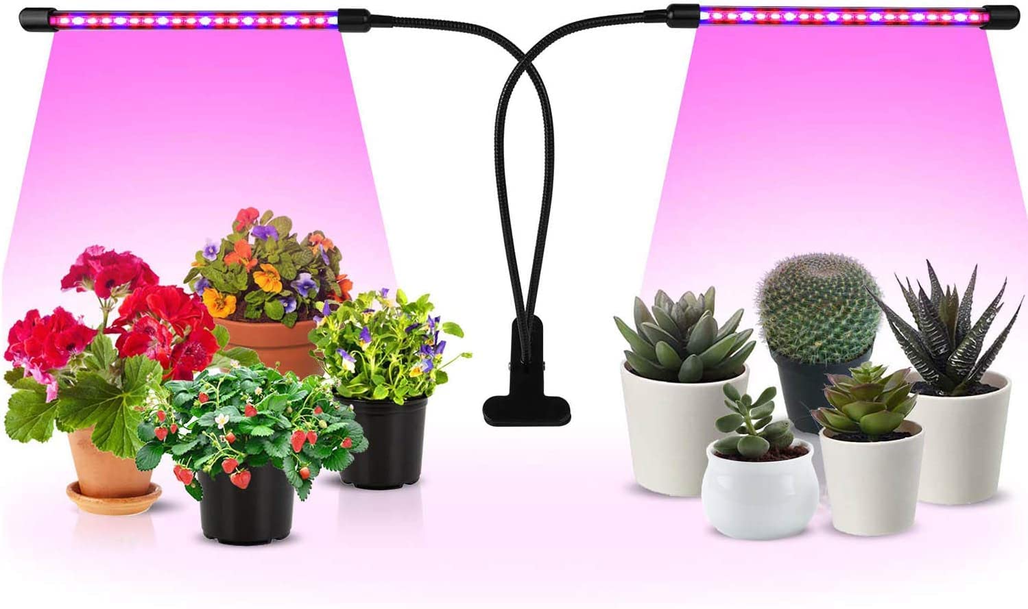 Grow Light Ipower De 10 W, Espectro Rojo Y Azul, Doble Cabezal Con Temporizador - Venta Internacional.