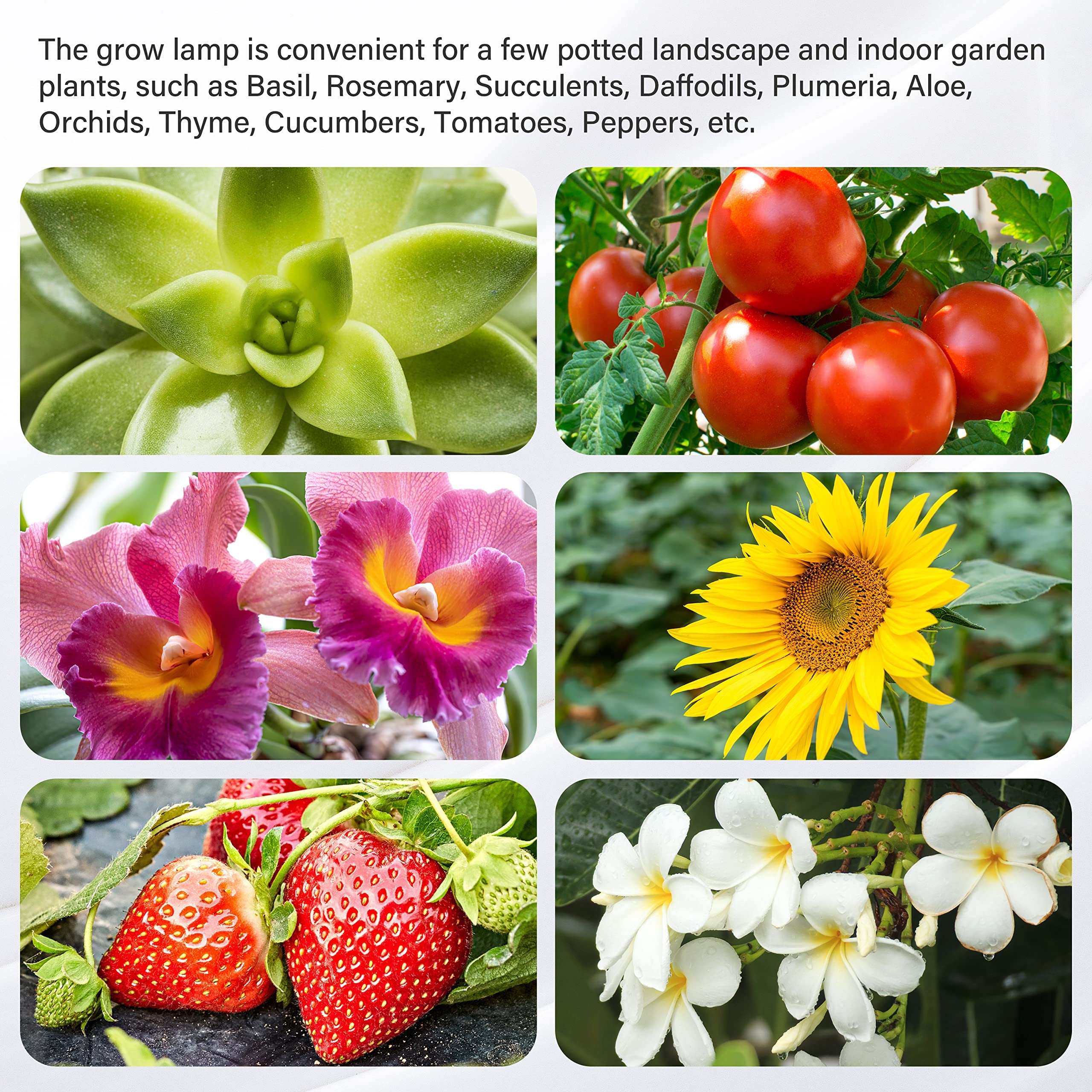 Foto 7 pulgar | Luz Led Para Cultivo De Plantas Ipower, 20 W, Espectro Completo, 4 Tubos* 2 - Venta Internacional.