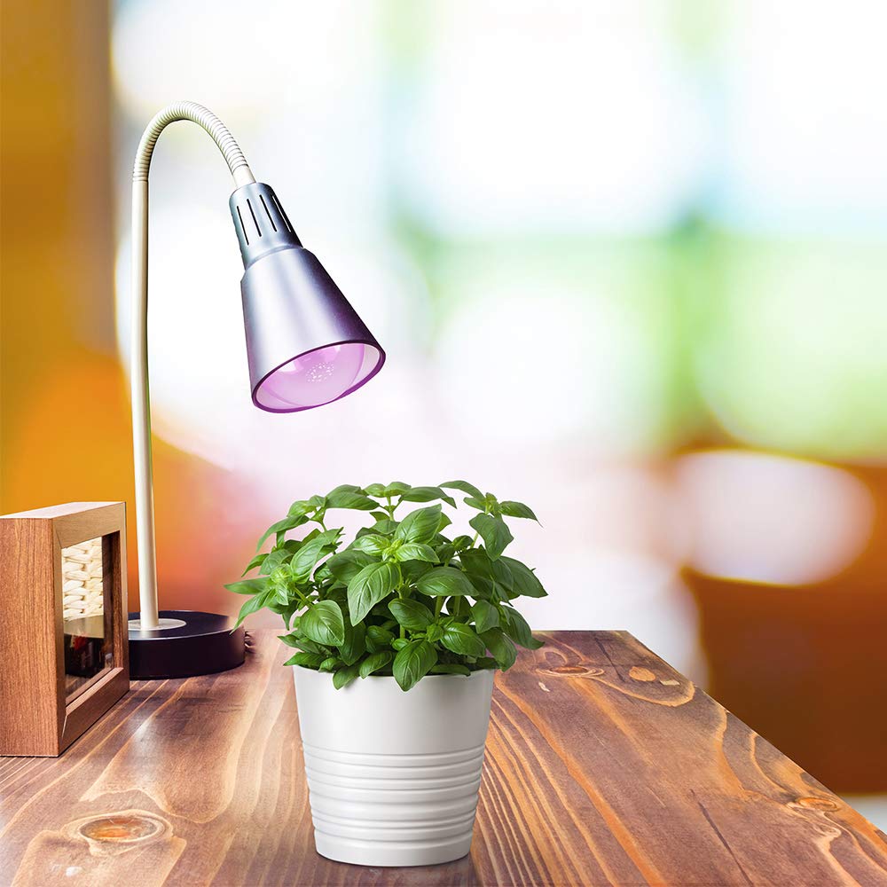 Foto 4 pulgar | Bombilla Hydro Grow Feit Electric A19/grow/ledg2/bx De 9 W - Venta Internacional.