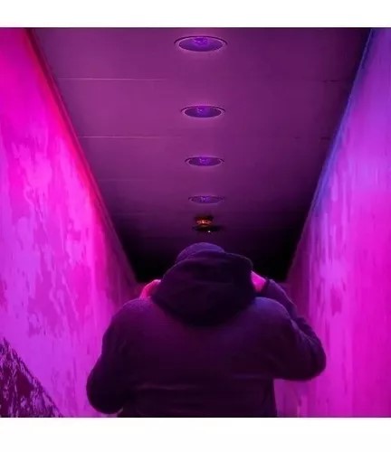 Foto 5 | Foco Led Luz Negra Morada Efecto Neón Fluorescente 15w E27