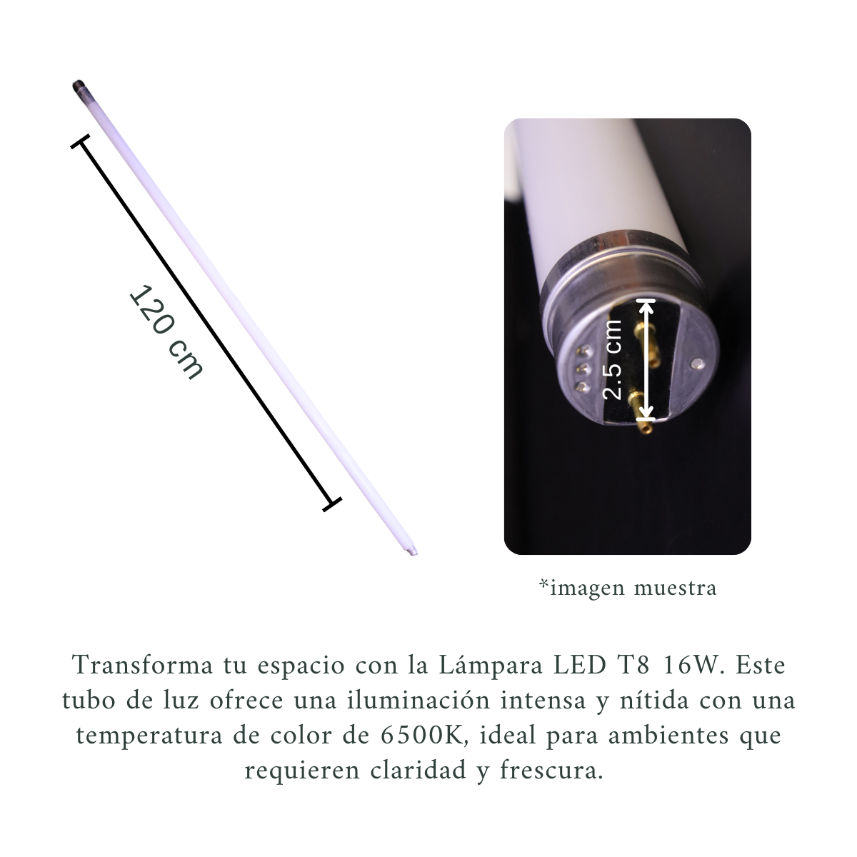 Foto 4 pulgar | 20 Lámparas Tubo Led T8 16w, Luz Fría De Vidrio No Dimmable