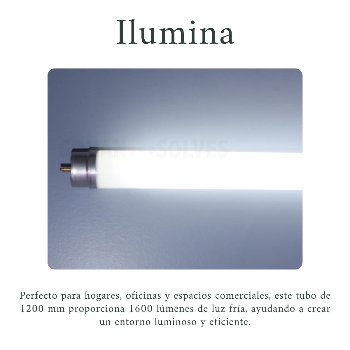 Foto 5 pulgar | 20 Lámparas Tubo Led T8 16w, Luz Fría De Vidrio No Dimmable