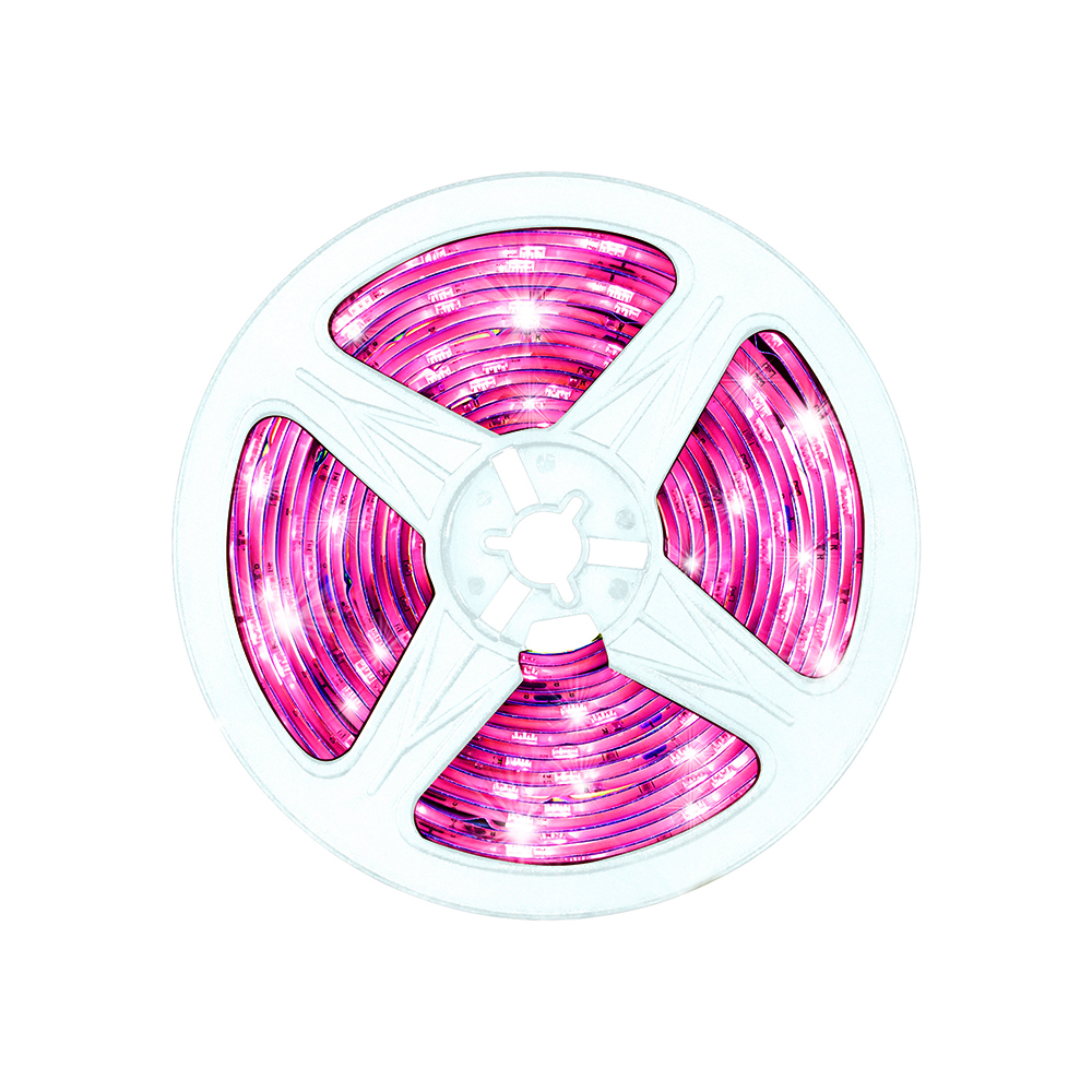 Foto 2 pulgar | Luces Led Mitzu 5 Metros Msl-2020