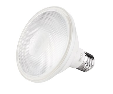 Foto 1 | Pack De 6 Focos Led Aksi 12w Par 30 Ip65 Base E27 Luz Cálida