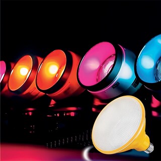 Foto 3 | Pack De 6 Focos Led Aksi 20w Par 38 Ip65 Base E27 Amarillo