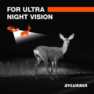 Foto 6 | Bombilla Halógena Para Faros Delanteros Sylvania 9003 Silverstar Ultra - Venta Internacional.