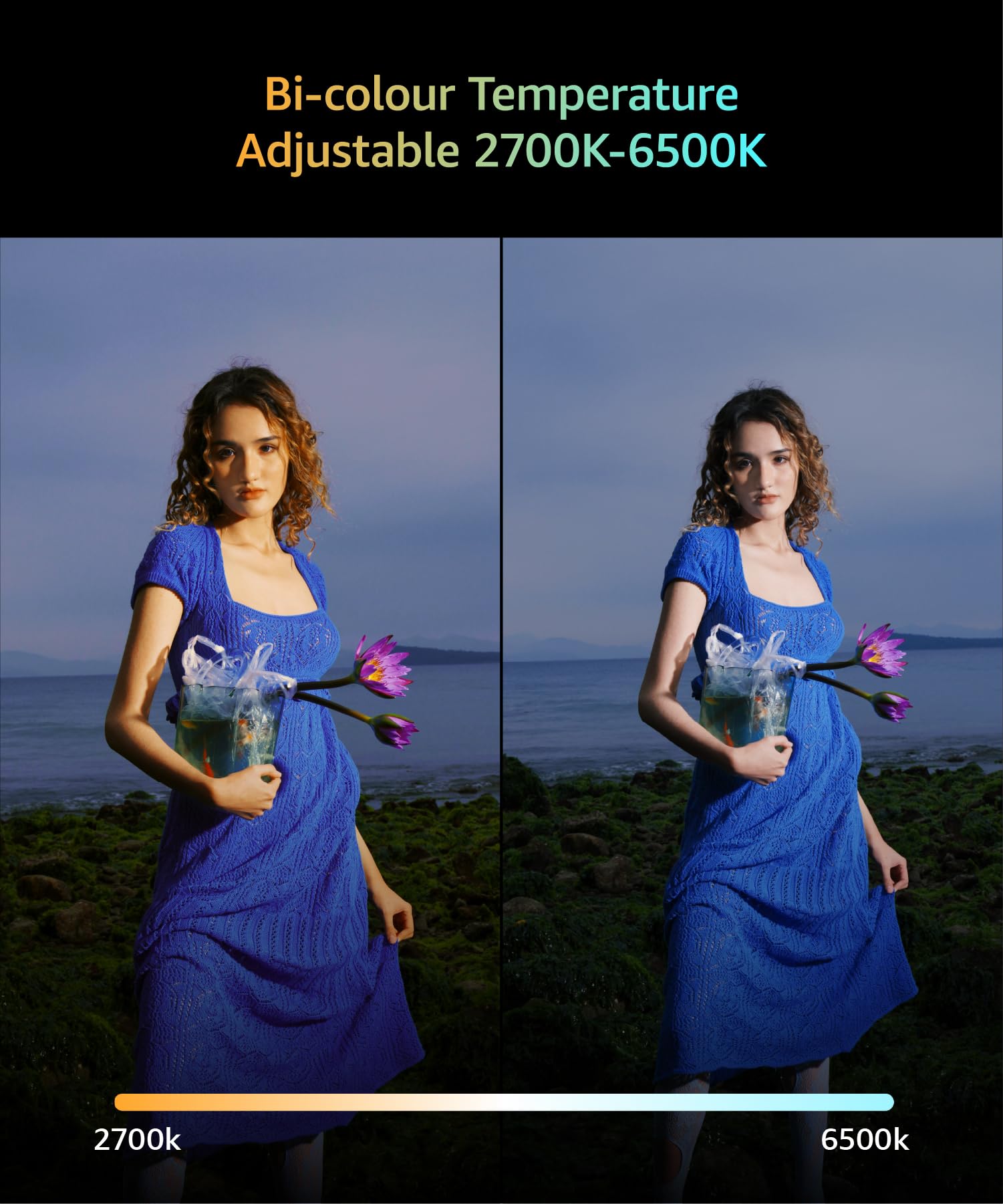 Foto 6 | Luz Integrada Amaran Ace 25x Video 25w Bicolor 2700k-6500k - Venta Internacional.