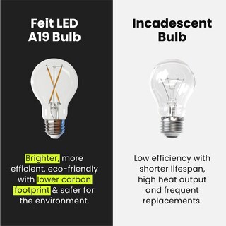Foto 6 | Bombilla Led Transparente Feit Electric A19 de 5 W 450 Lm 2700 K 4 Pack - Venta Internacional