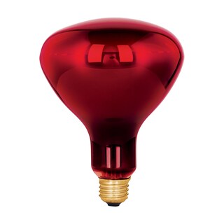Foto 1 | Lámpara Br-40 250 W Tipo Reflector Infrarrojo Terapéutico