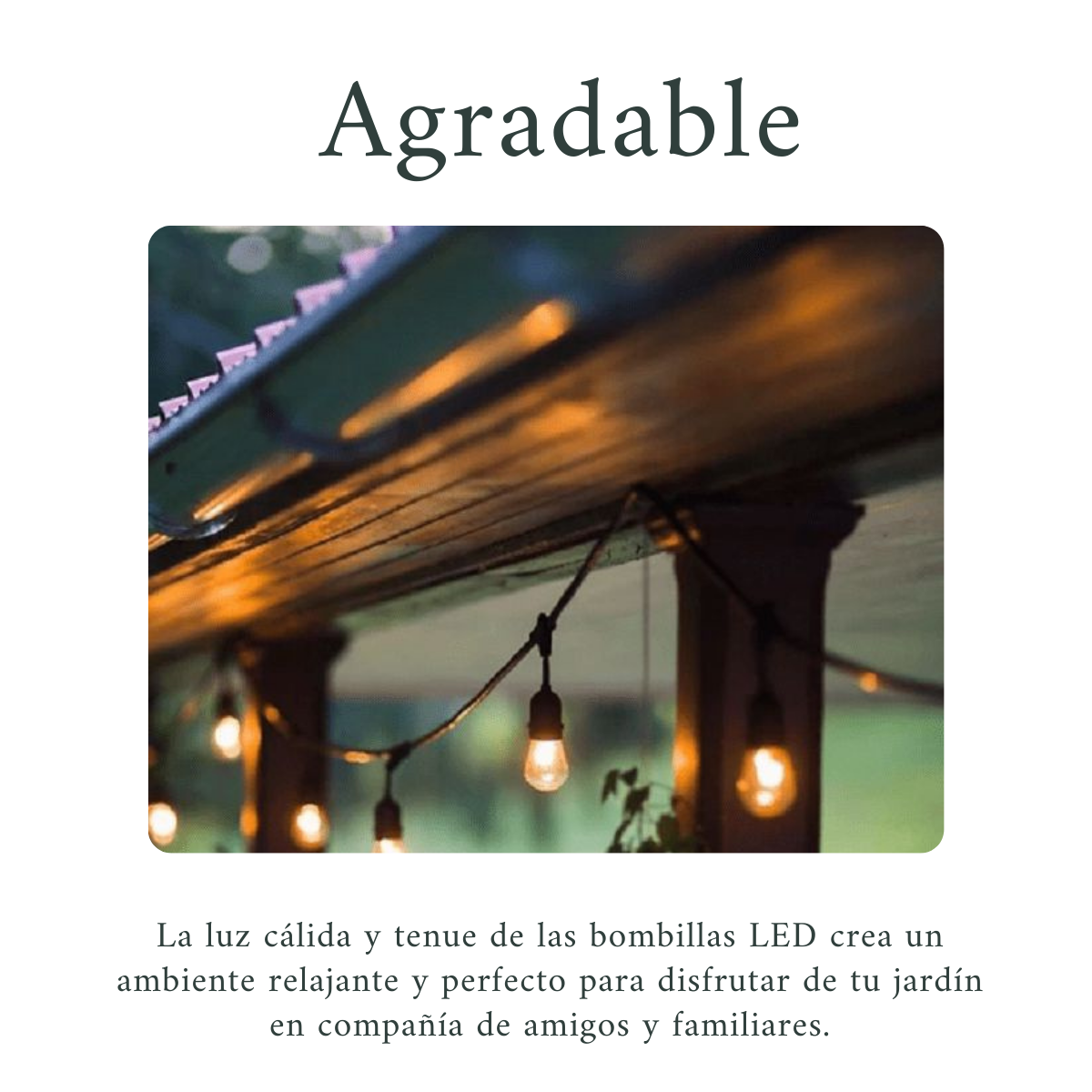 Foto 4 pulgar | Luces Para Jardín Exterior, Guirnalda Led 5 Metros Con 10 Sockets Base E26 / 27, Ahorro De Energía, Impermeabl