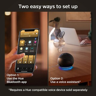 Foto 7 | Bombilla Led Philips Hue Smart De 60 W Filamento G25 550 Lm E26 1 Paquete - Venta Internacional.